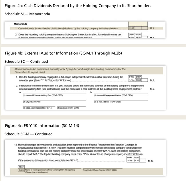 Regulatory Reporting by Small Holding Companies- Common Errors - Image 6