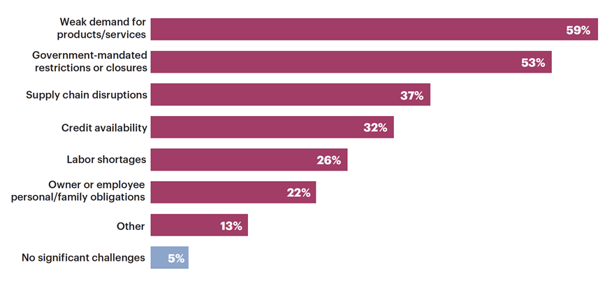 Serving Small Businesses in a Crisis The Role of Community Banks During the COVID19 Pandemic - Img9